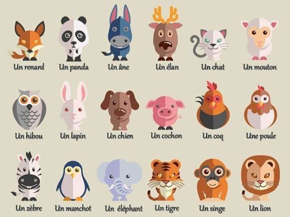 Activity sheet (verbs ÊTRE, AVOIR, ALLER, S'APPELER, HABITER+ANIMALS) - Y7