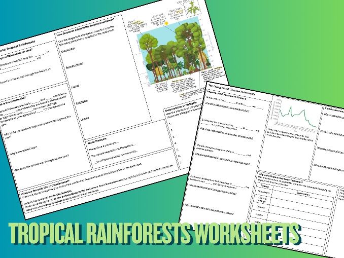 Tropical Rainforests Worksheets (AQA GCSE Geography)