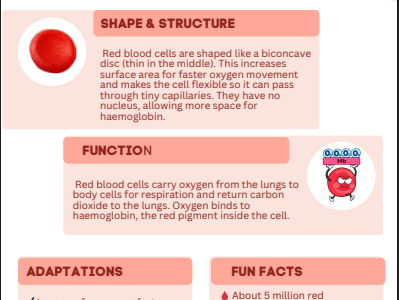 Blood Components Fact Cards