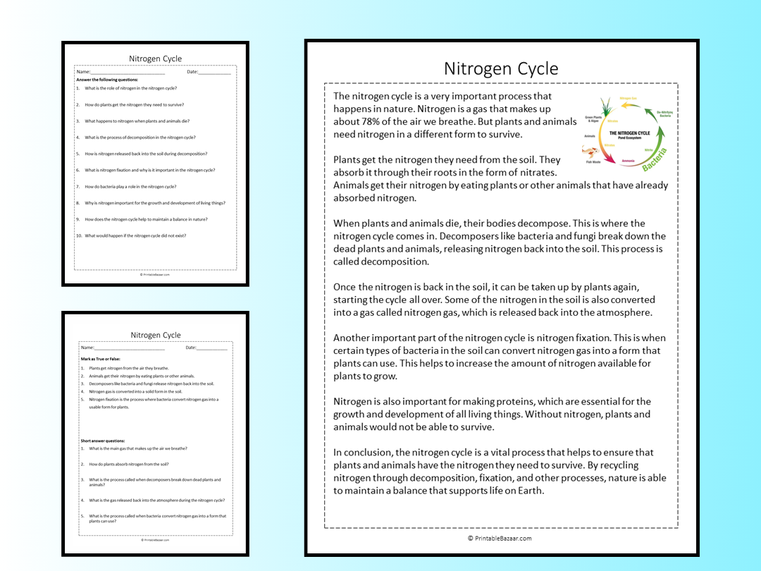 Printable Worksheet On Nitrogen Cycle