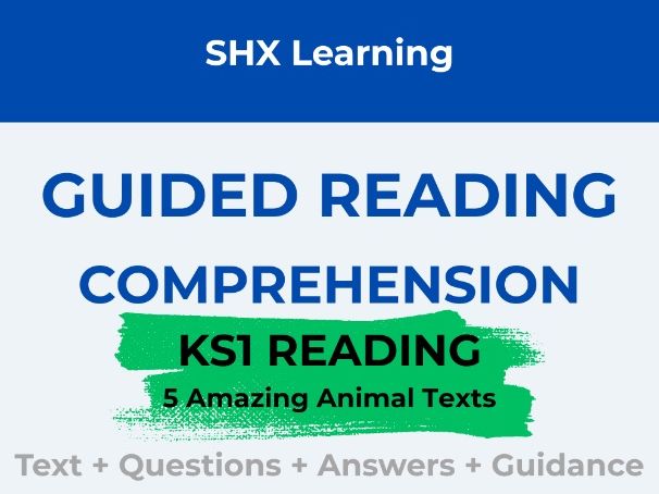 Year 2 Reading Comprehension Pack – 5 Texts with Questions and Answers (KS1)