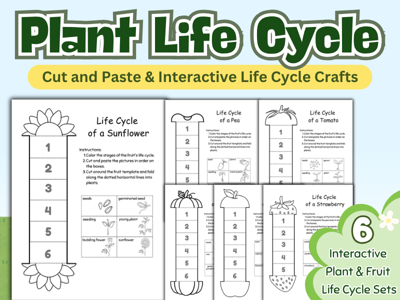 Plant Life Cycle Worksheets | Cut and Paste & Interactive Life Cycle Crafts