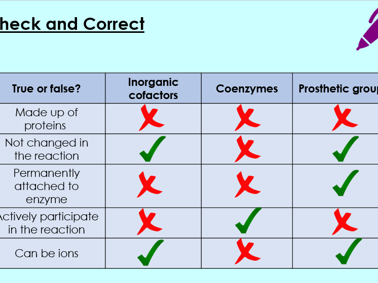 OCR A, A Level Bio, 2.1.4 Enzymes (full topic)