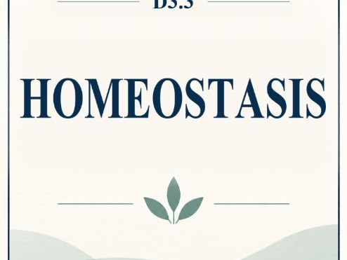 IB Biology HL D3.3 Homeostasis MCQ Practice