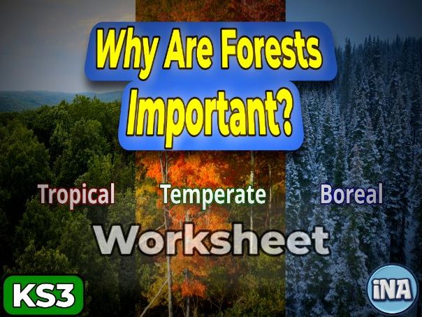 The Forests of the World - Complete KS3 Geography Worksheet