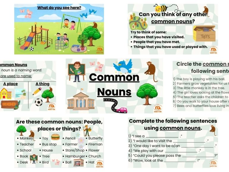 Common Nouns Lesson. People, Places and Things. ESL