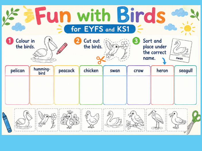 Fun with Birds for EYFS and KS1