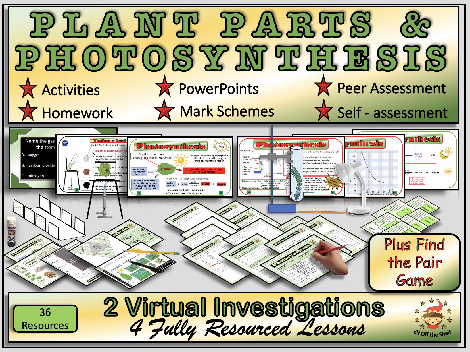 Plant Anatomy and Photosynthesis Explained 4 Fully Resourced Lessons Plus Find the Pair Game KS3