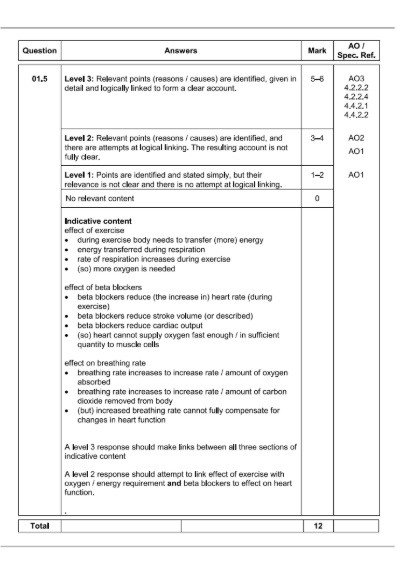 pdf, 5.38 MB