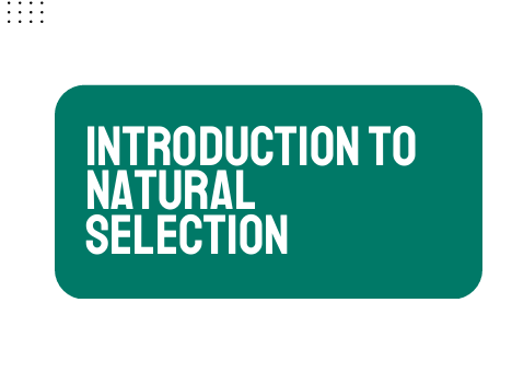 AP Biology Unit 7: Introduction to Natural Selection