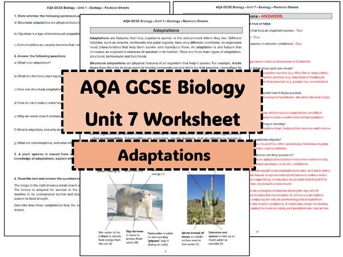 GCSE Worksheet Adaptations