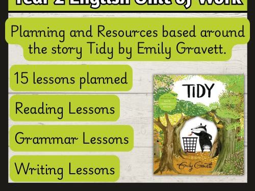 'Tidy' by Emily Gravett Year 2 English Planning and Resources