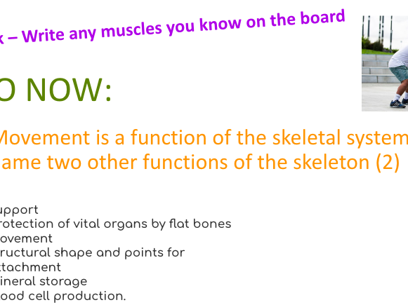 GCSE PE: Applied Anatomy & Physiology – Full Unit of Work