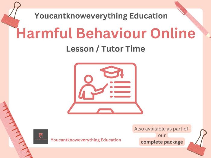 Harmful Behaviours Online PSHE Lesson
