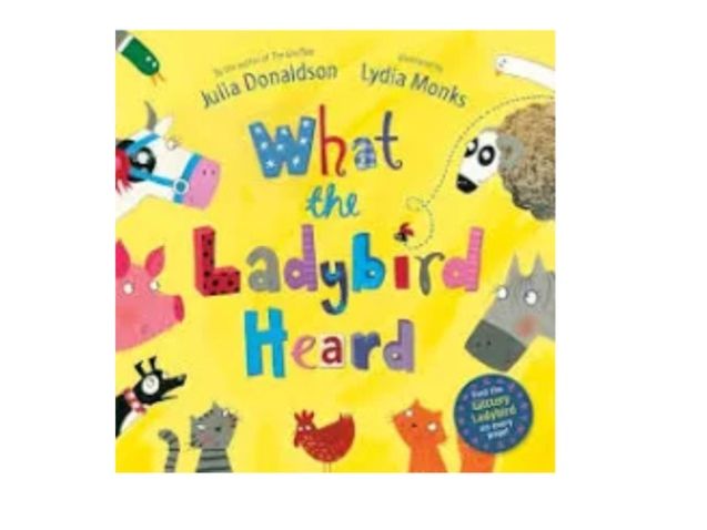 What The Ladybird Heard (Julia Donaldson) Resources