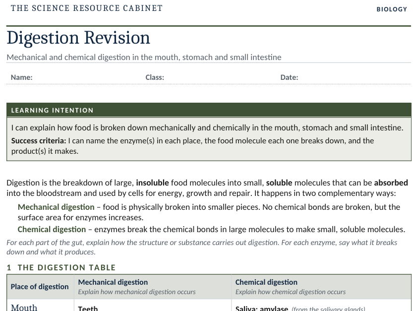Digestion: Mechanical & Chemical Revision Worksheet