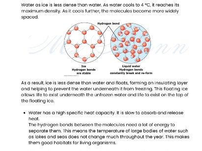 AMAZING IAL Biology A Level Notes