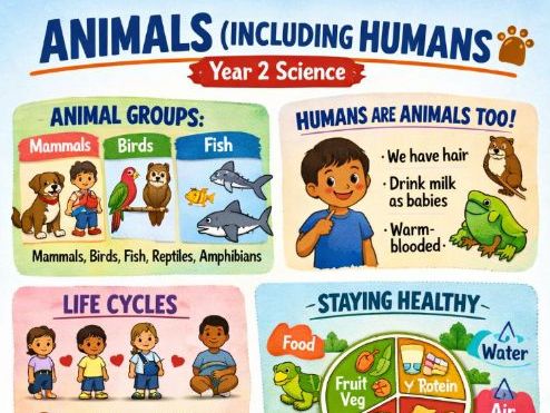 Animals including Humans PPT Year 2