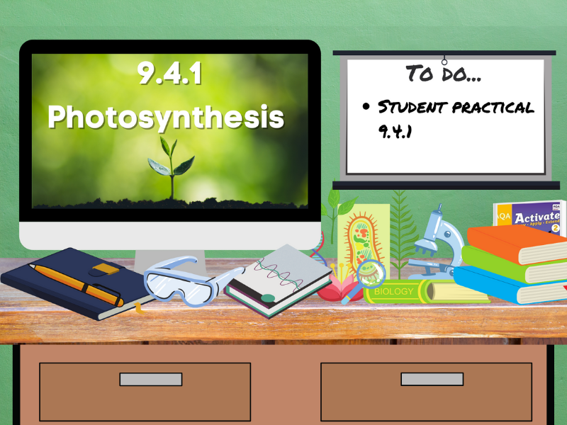 Photosynthesis (KS3 2) Teaching Resources