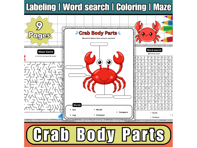 Crab Body Parts Labeled Diagram Worksheets,Wordsearch,Maze,Coloring,Summer Activity