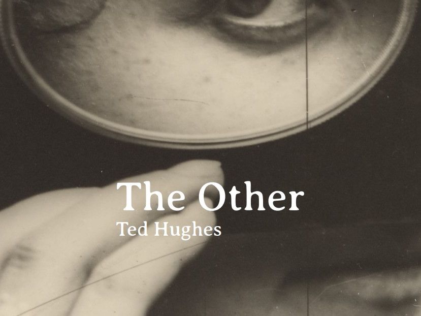 The Complete Ted Hughes IGCSE Revision Bundle! | Teaching Resources