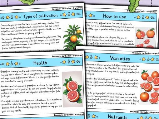 Grapefruit | Biology | Citrus Hybrid & Bitter-Sweet Nutrition