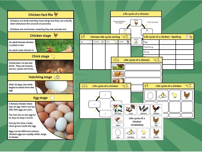 Chicken Life Cycle bundle | Early level / KS1 / SEND | Worksheets, Sorting & Fact Files