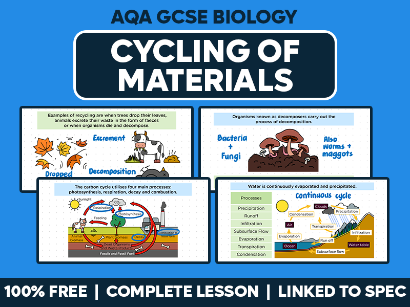 GCSE AQA Biology Complete Lesson - Cycling of Materials