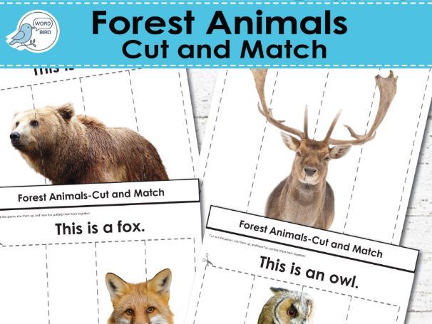 Forest Animals Cut and Match – Speech Therapy, ESL, Early Learning, Logic Skills Printable