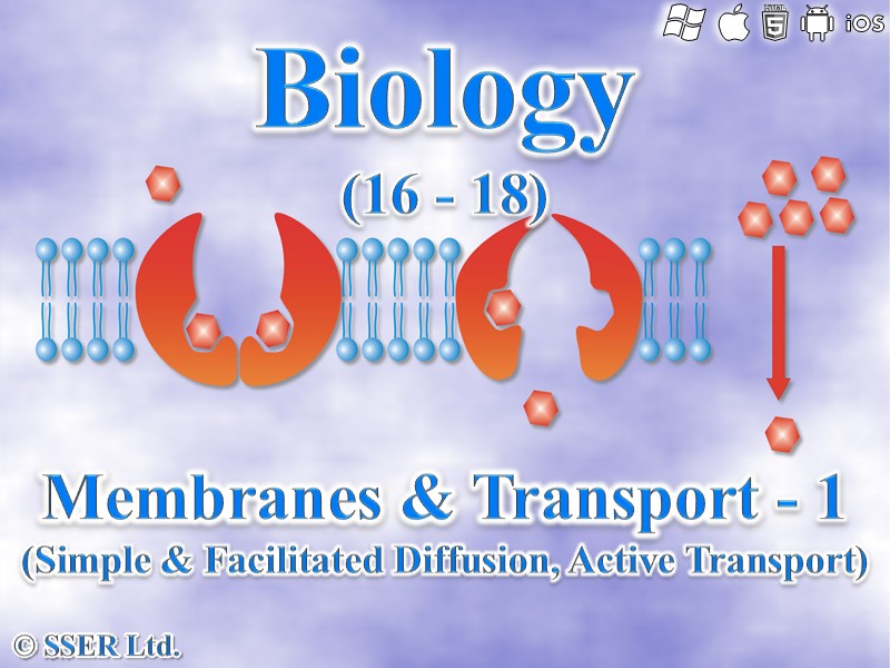 BioA_3.2.3 Membranes & Transport 1 - Diffusion & Active Transport