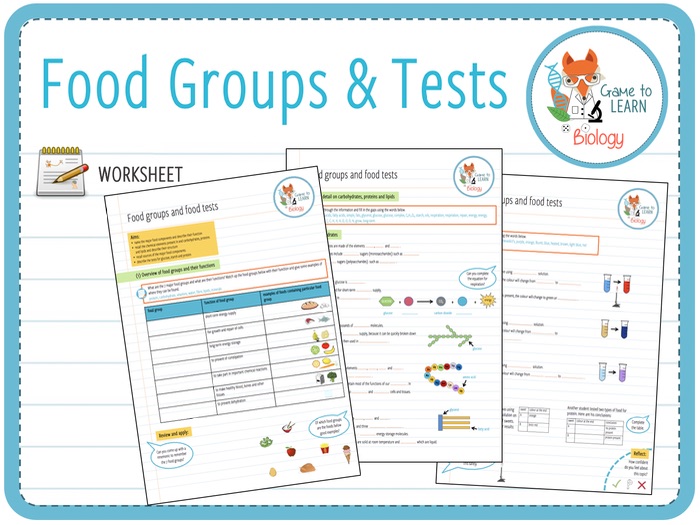Food Groups and Tests Worksheet (KS3/4) Teaching Resources