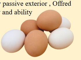 Motif Revision: The Handmaid's Tale - eggs