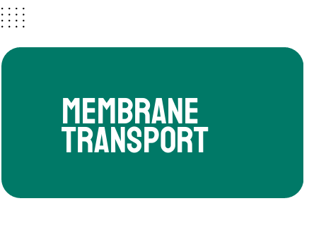 AP Biology Unit 2: Membrane Transport