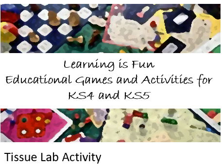 Tissue Histology Lab Activity