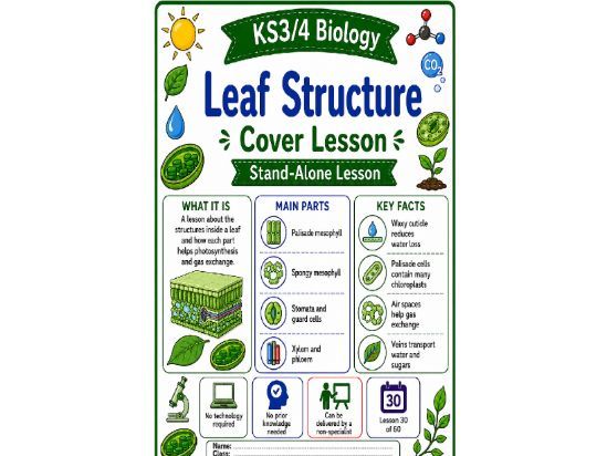 Leaf structure cover lesson (L30)