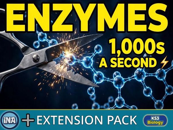 Digestive Enzymes - KS3 Biology Extension Pack with Answers