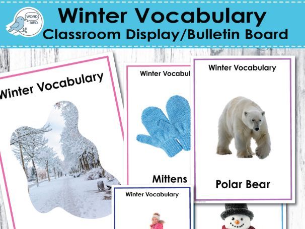 Winter Vocabulary Classroom Display | Real Photo Posters | 16 Pages | Flash Cards & Wall Decor