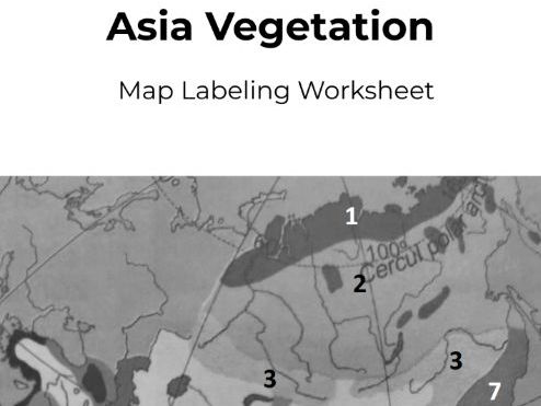Asia Vegetation Zones Map Worksheet | Geography Activity | Physical Geography