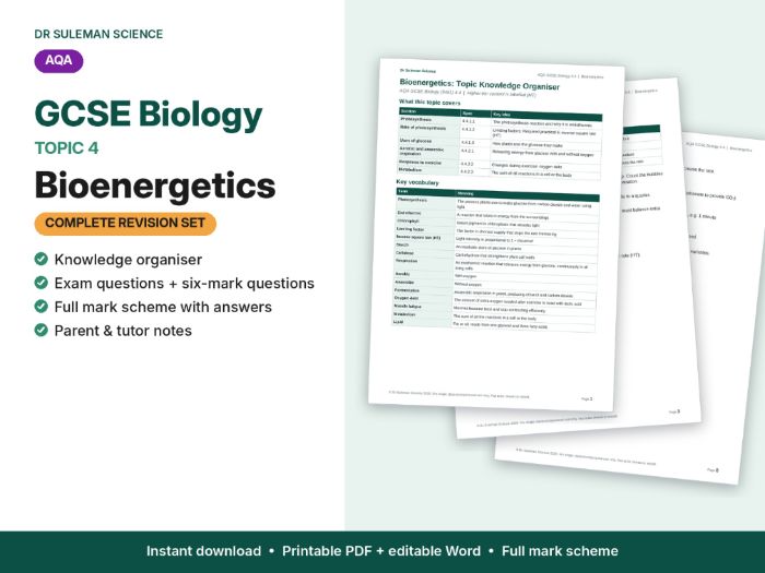 AQA GCSE Biology B4 Bioenergetics Revision + Exam Questions