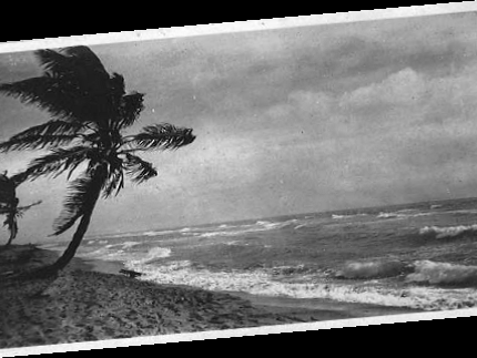 Picture This by John Glenday