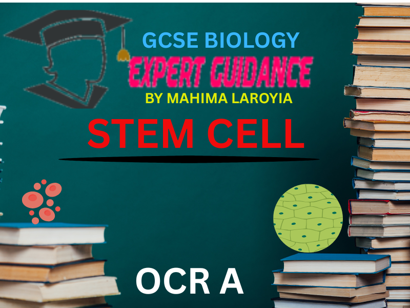 OCR A - GCSE BIOLOGY STEM CELLS