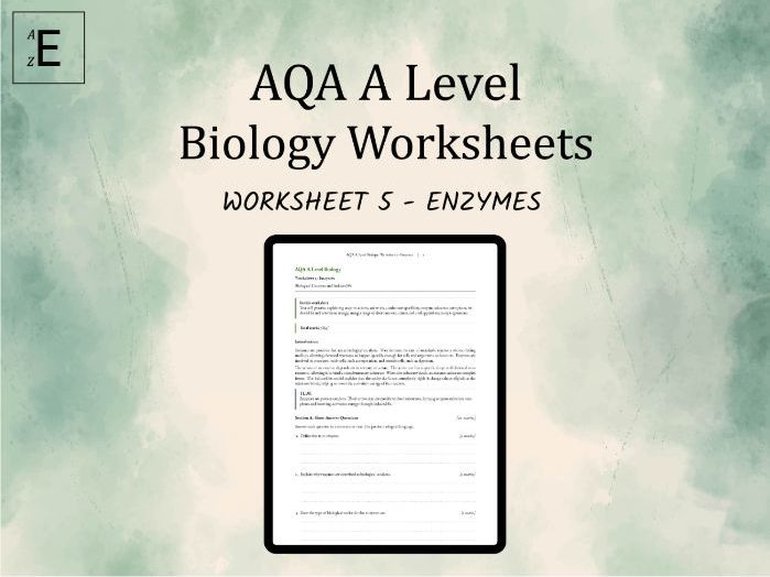 AQA A Level Biology Worksheet 5 - Enzymes