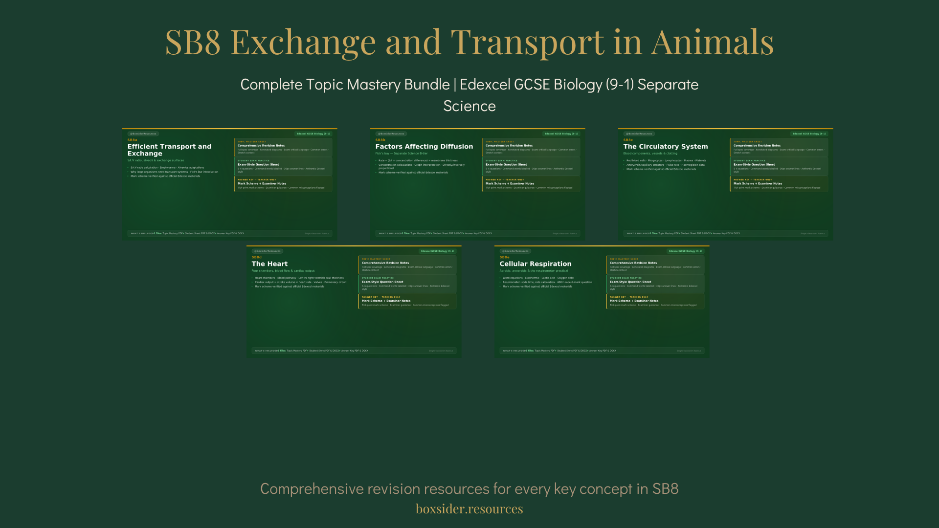 SB8 Exchange and Transport in Animals | Complete Topic Mastery Bundle | Edexcel GCSE Biology (9–1) Separate Science