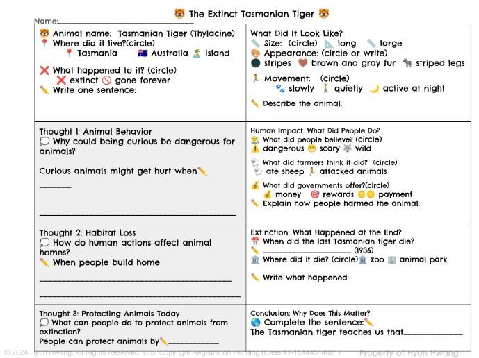 Grade 4 Expository Writing — The Extinct Tasmanian Tiger: Human Impact & Facts (Module 10 Scaffoldin