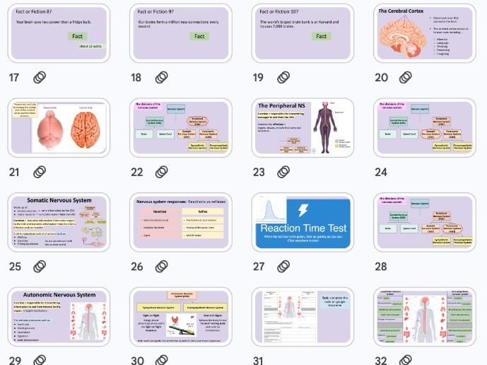 The Nervous System - Biopsychology NEW AQA 2025 Specification