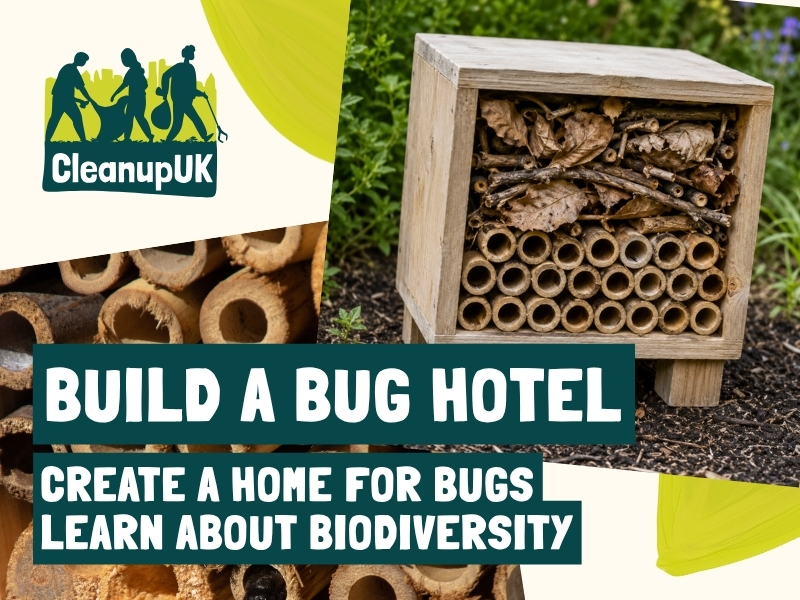 Build a Bug Hotel Activity Sheet - CleanupUK