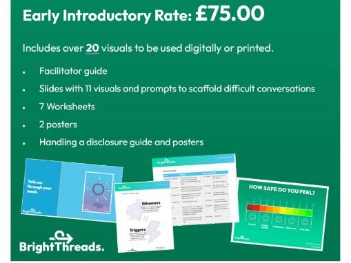 Child's Voice in Safeguarding Visual Toolkit