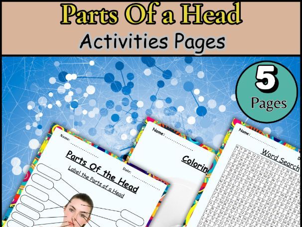 Parts of the Head