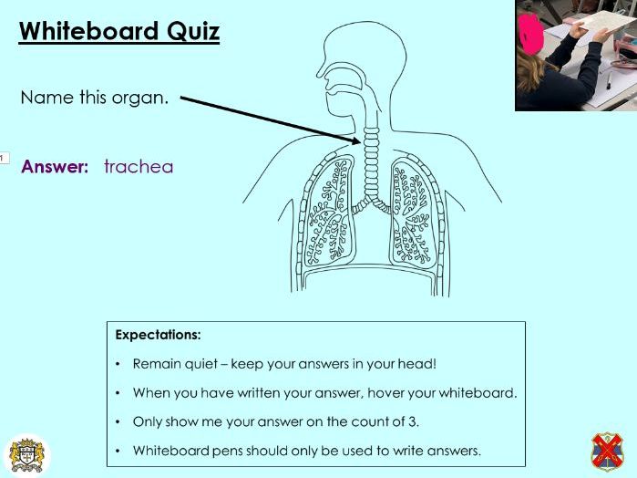 Gas exchange - KS3 Activate lesson