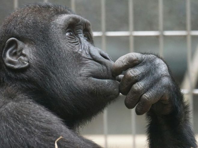 SAMPLE RESOURCE: MAGPI Creative Writing Framework – Complete GCSE English Lesson Pack